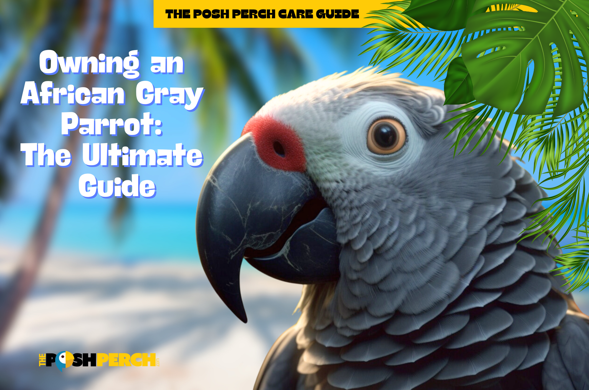 Owning an African Gray Parrot: A Comprehensive Guide