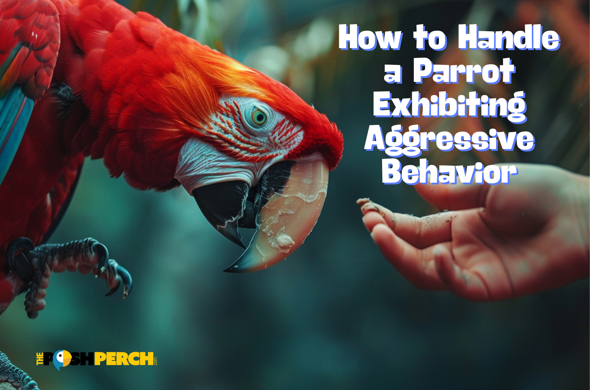 How to Handle a Parrot Exhibiting Aggressive Behavior