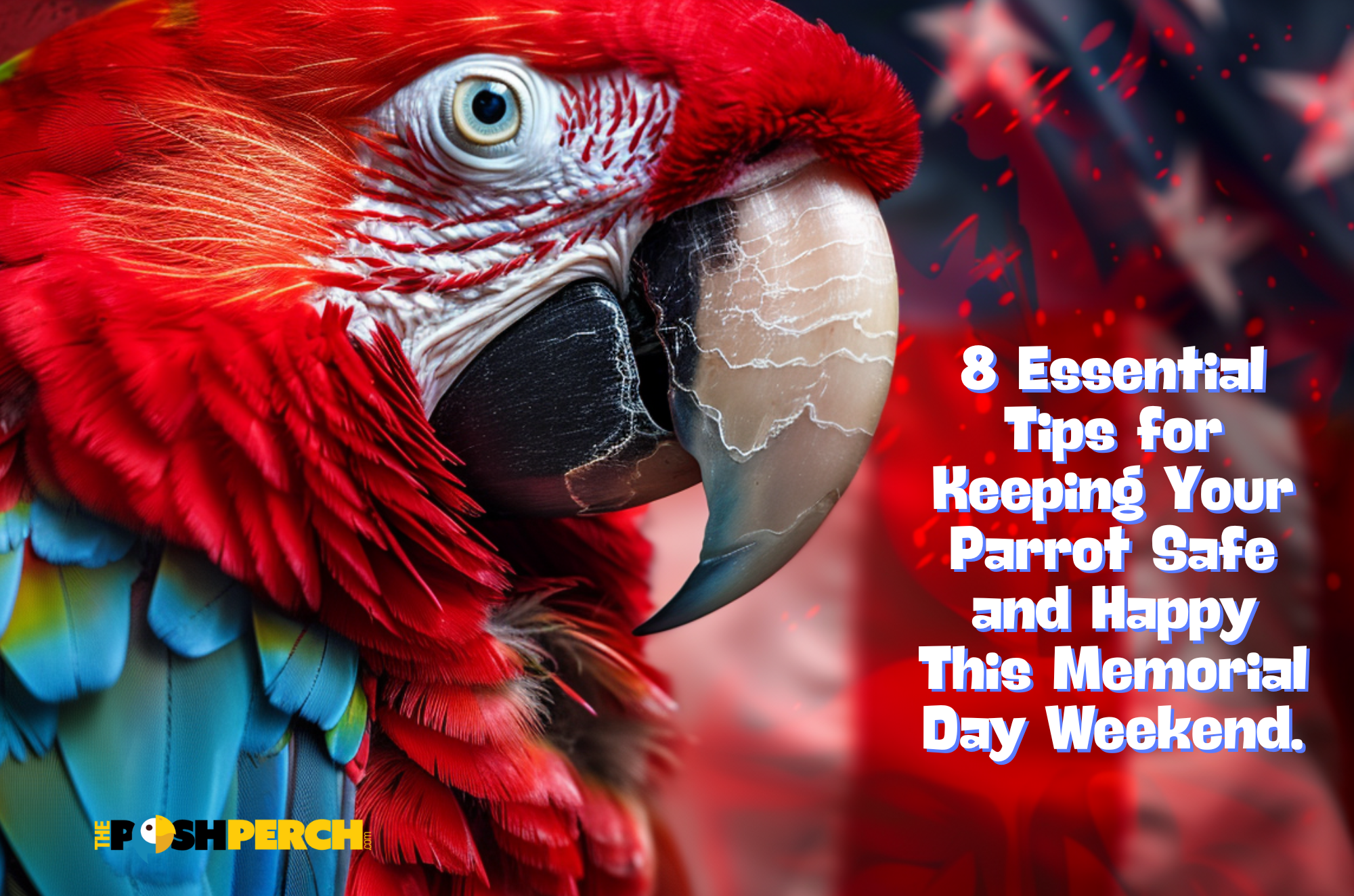 Top 8 Essential Tips for Keeping Your Parrot Safe and Happy This Memorial Day Weekend