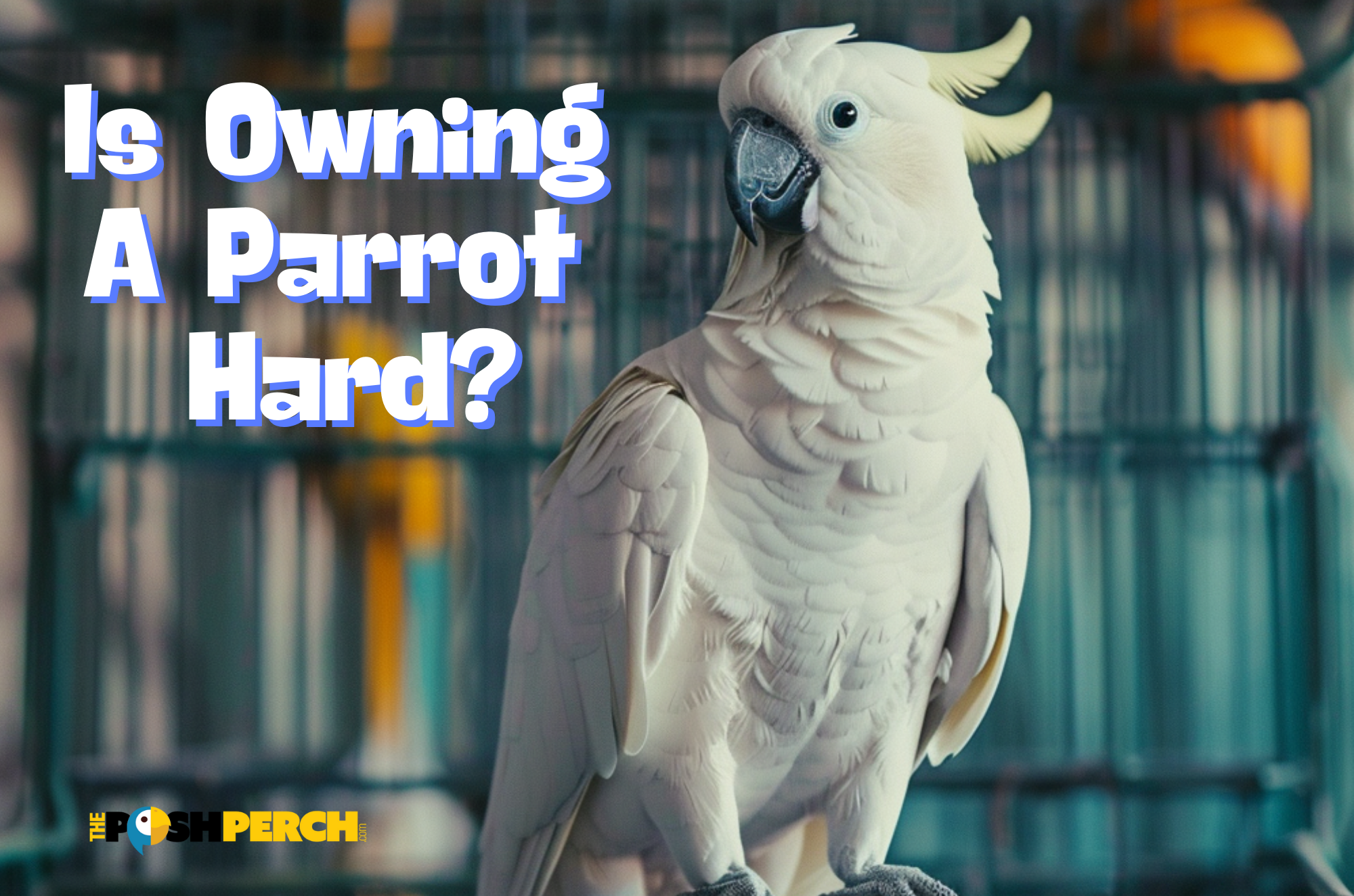 Is Owning A Parrot Hard?