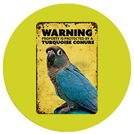 Collection image for: The Warning Sign Collection