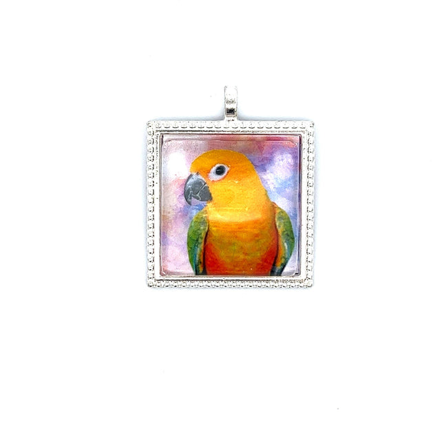 Jenday Conure Pendant with Snake Necklace