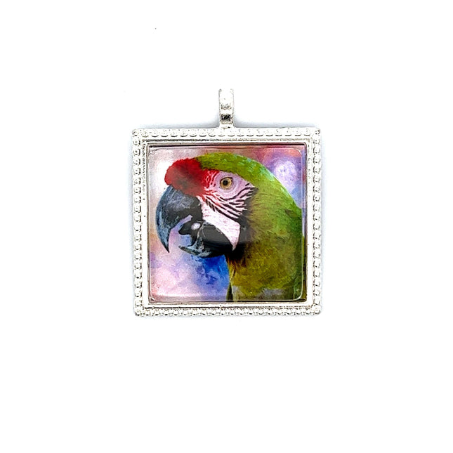 Military Macaw Pendant with Snake Necklace