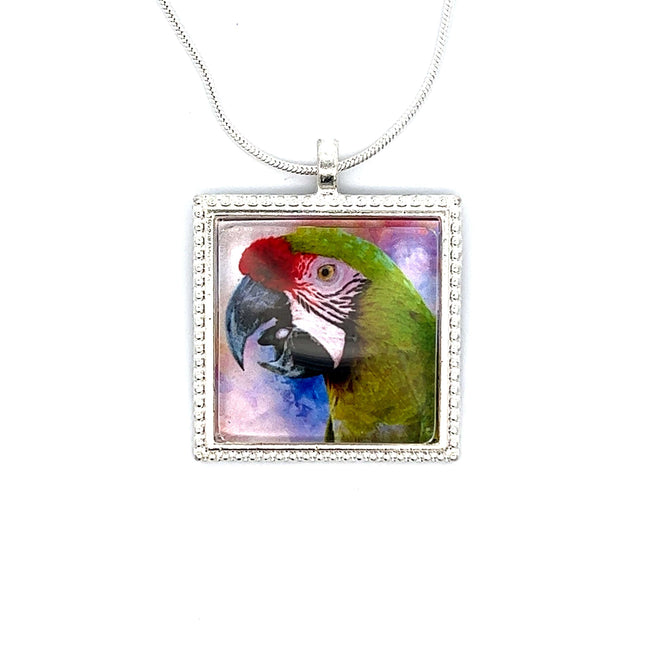 Military Macaw Pendant with Snake Necklace