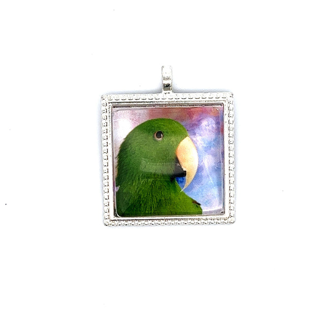 Eclectus Pendant with Snake Necklace