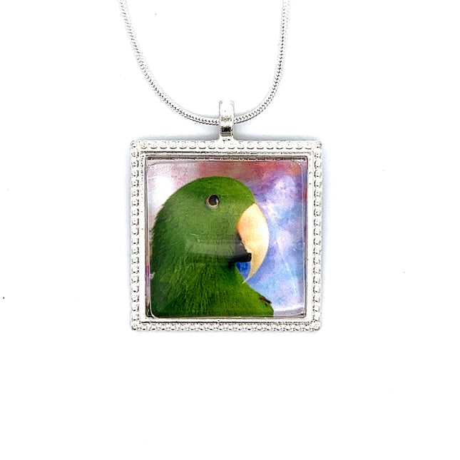 Eclectus Pendant with Snake Necklace