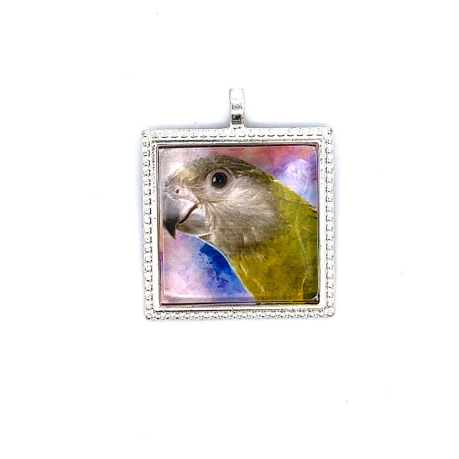 Senegal Parrot Pendant with Snake Necklace