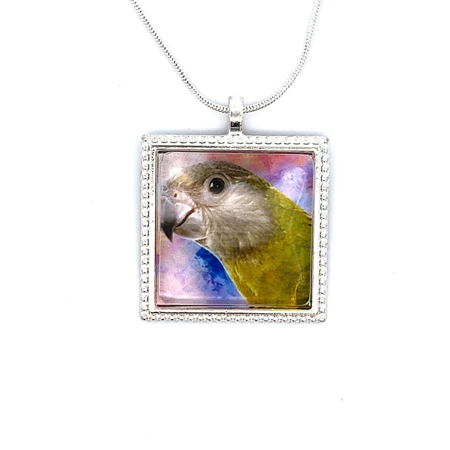 Senegal Parrot Pendant with Snake Necklace