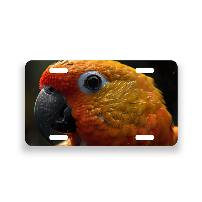 Sun Conure License Plate