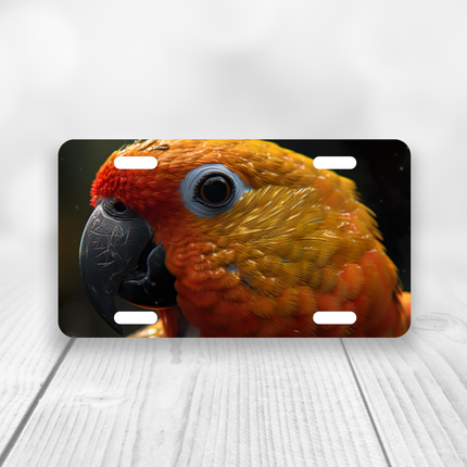 Sun Conure License Plate