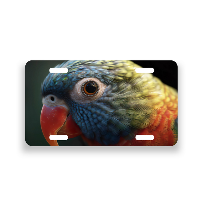 Rainbow Lorikeet License Plate