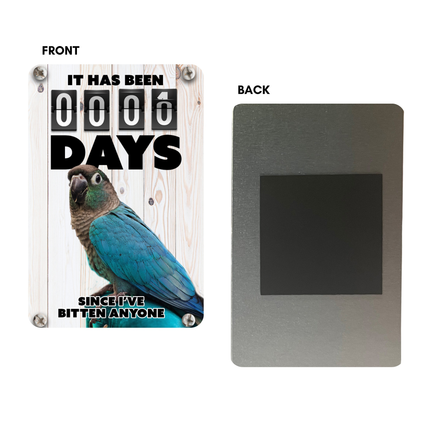 Turquoise Conure Magnet