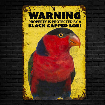 Black Cap Lorikeet Sign