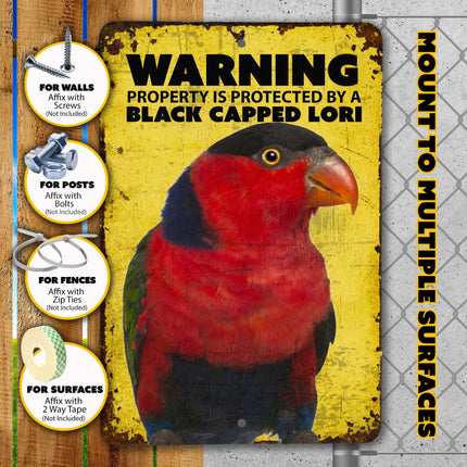 Black Cap Lorikeet Sign