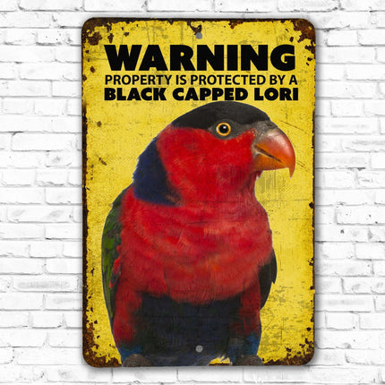 Black Cap Lorikeet Sign