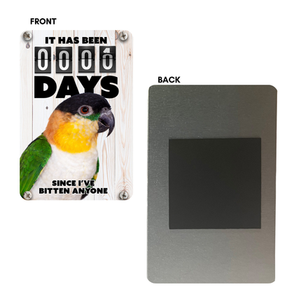 Black Cap Caique Magnet