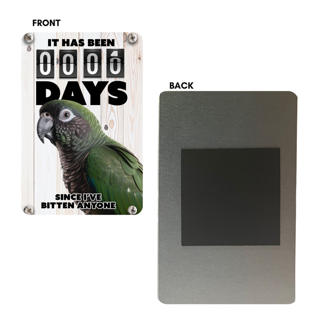 Green Cheek Conure Magnet