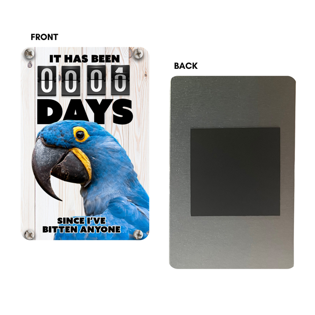 Hyacinth Macaw Magnet