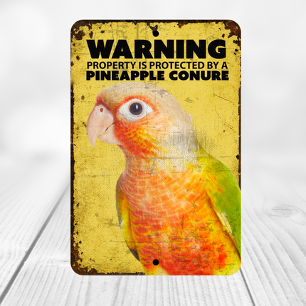 Pineapple Conure Warning Sign