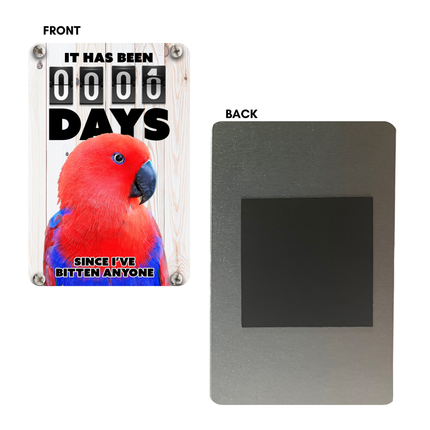 Red Eclectus Magnet