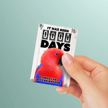 Red Eclectus Magnet