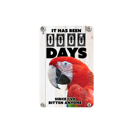 Scarlet Macaw Magnet