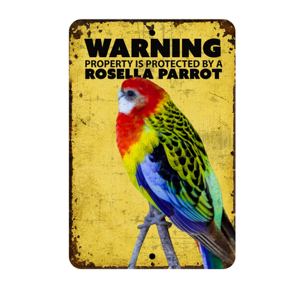 Rosella Parrot 