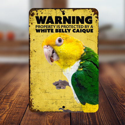 White Belly Caique Warning Sign