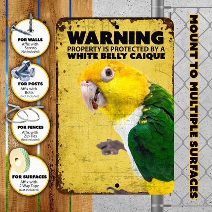 White Belly Caique Warning Sign