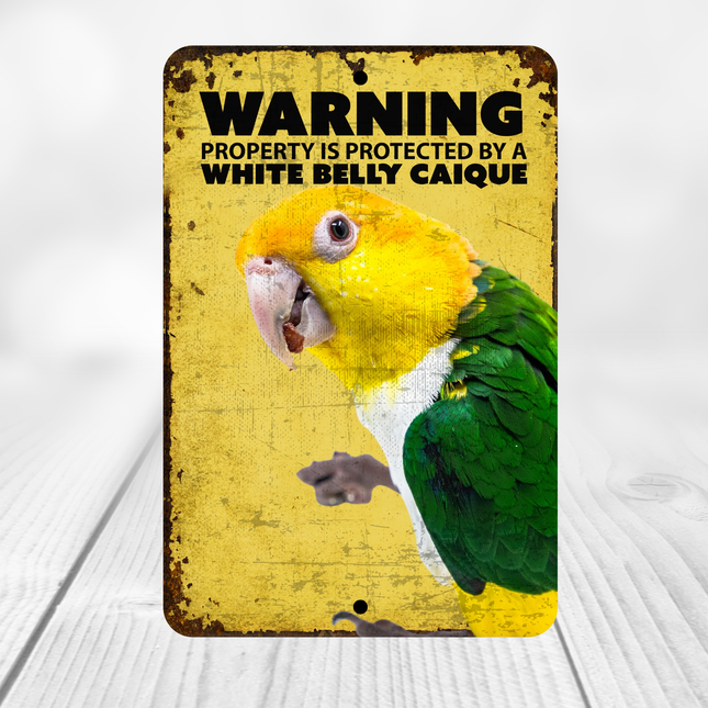 White Belly Caique Warning Sign