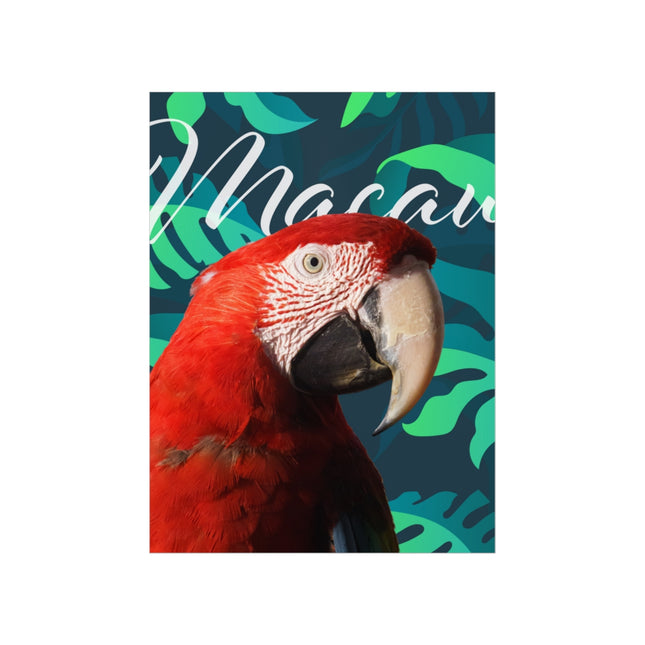 Macaw Matte Poster