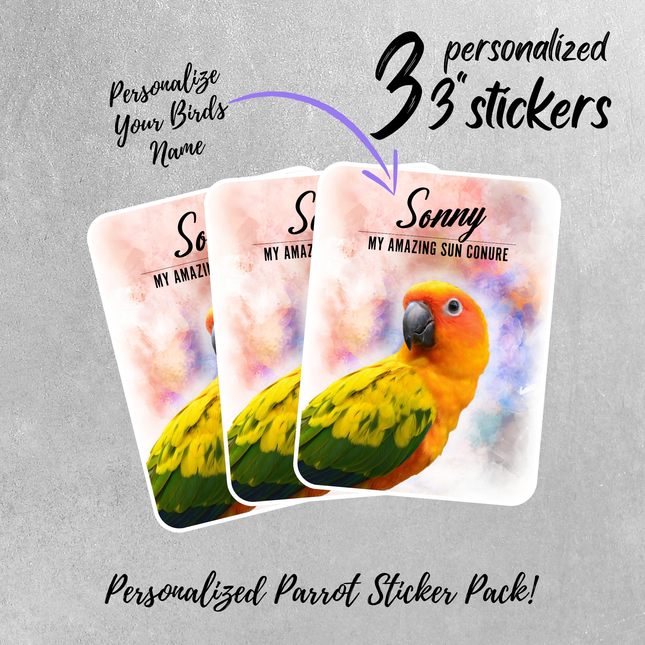 Personalized Sun Conure Stickers