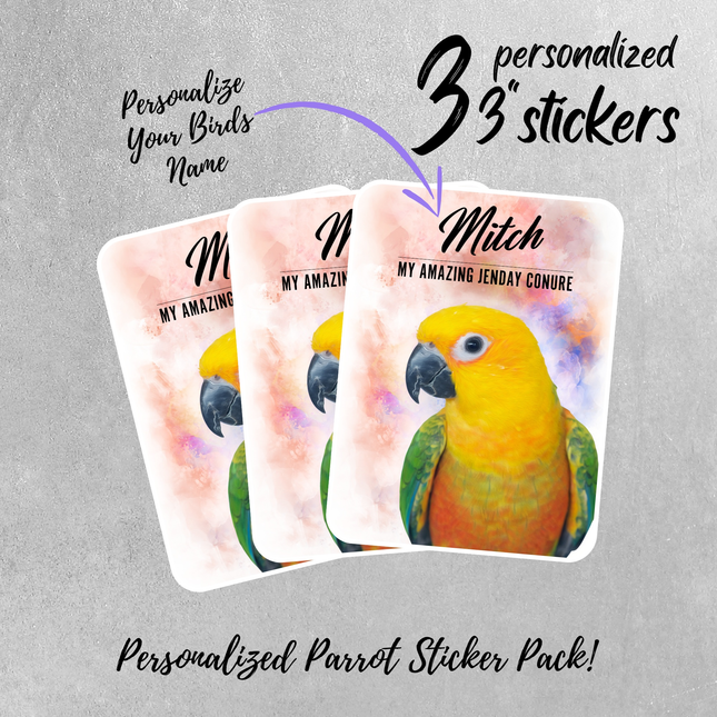 Personalized Jenday Conure Sticker