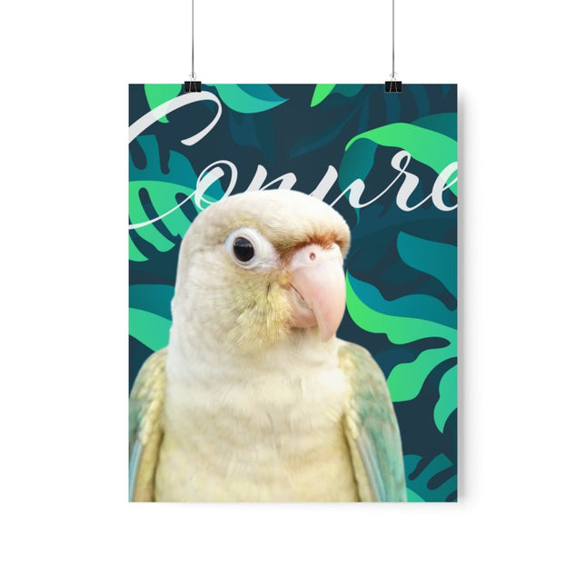 Conure Matte Poster