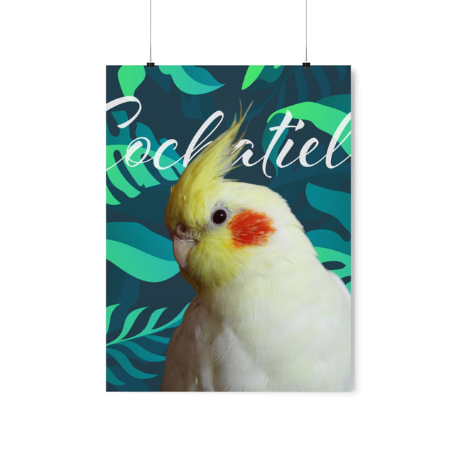 Yellow Cockatiel Matte Poster