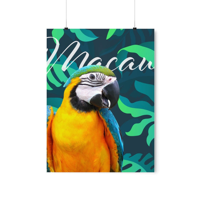 Macaw Matte Poster