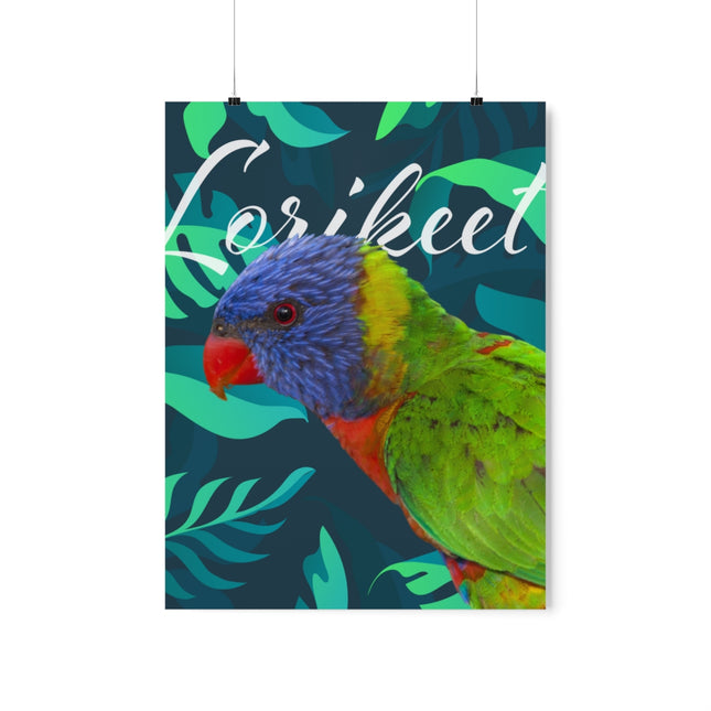 Rainbow Lorikeet Matte Posters