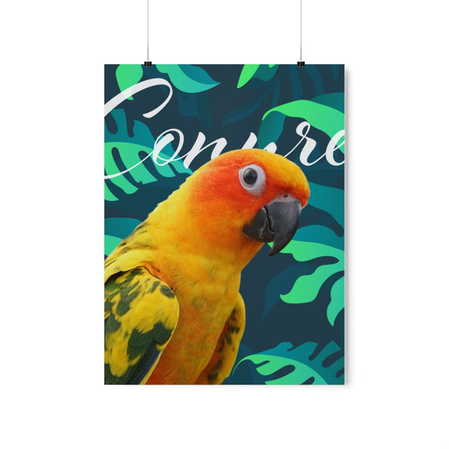 Sun Conure Matte Poster