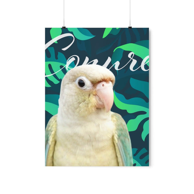 Conure Matte Poster