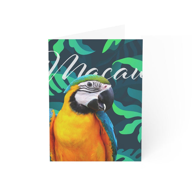 Macaw Folded Greeting Cards (1, 10, 30, and 50pcs)