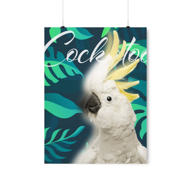 Cockatoo Matte Poster