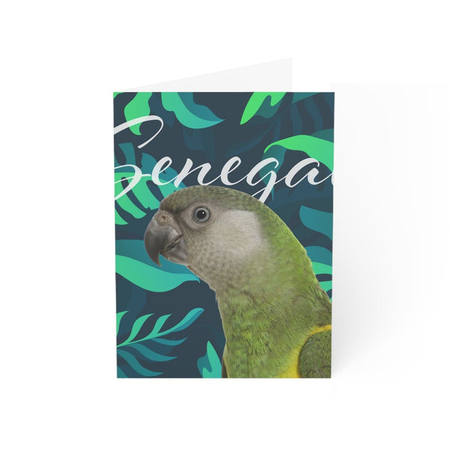 Front of Senegal Parrot Greeting Card