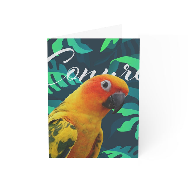 Sun Conure Folded Greeting Cards (1, 10, 30, and 50pcs)