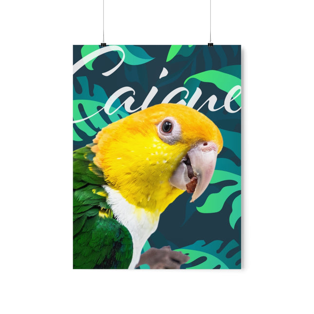 Caique Matte Poster