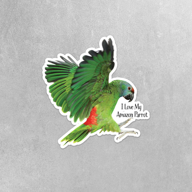 I Love My Amazon Parrot Sticker