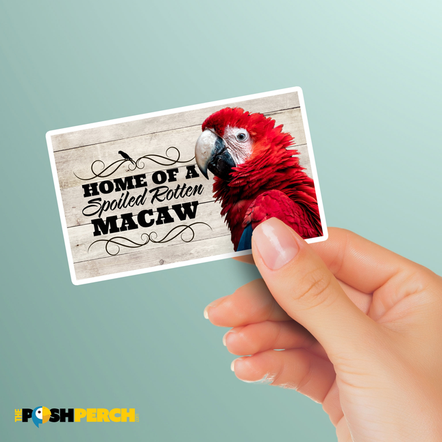 Spoiled Rotten Scarlet Macaw Sticker