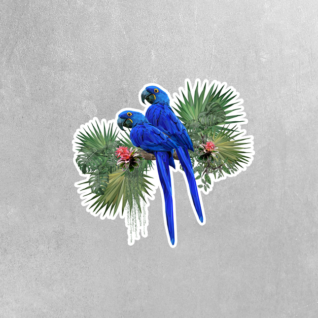 Hyacinth Macaw Twins Sticker