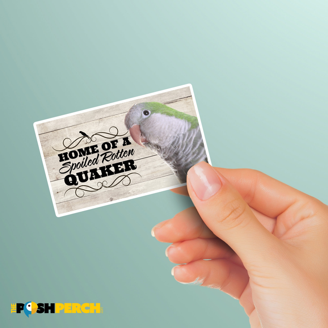 Spoiled Rotten Quaker Parrot 3 Piece Sticker Pack