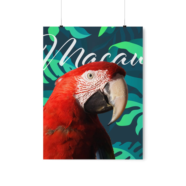 Macaw Matte Poster