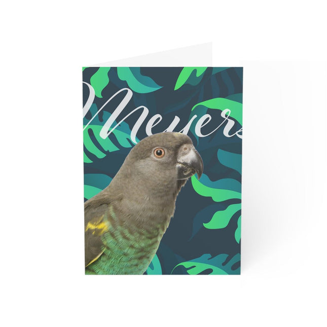 Meyers Parrot Folded Greeting Cards (1, 10, 30, and 50pcs)